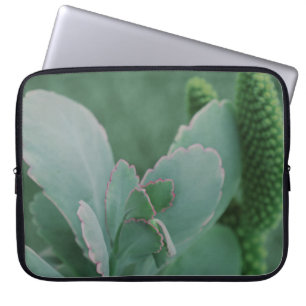 Funda Para Portátil Hermosa Planta Desierta Fotografía de Arte