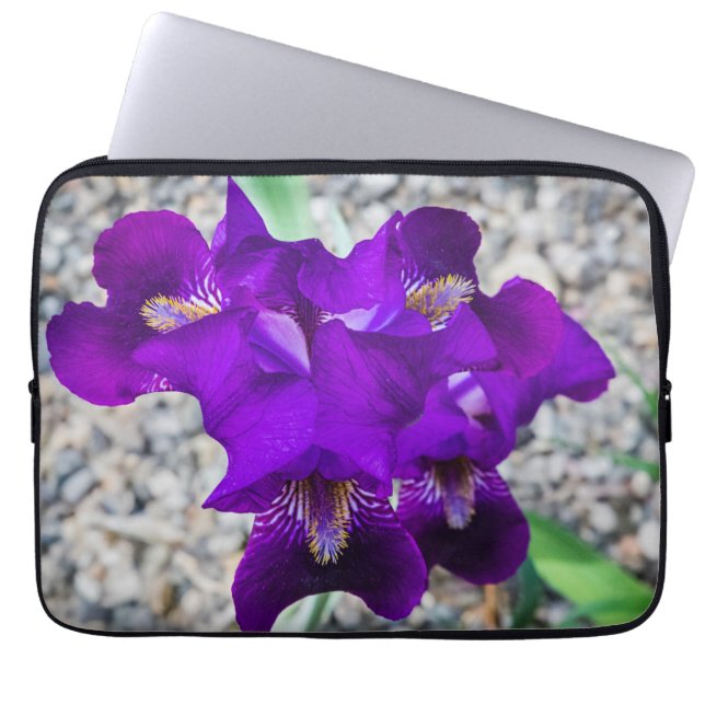 Funda Para Portátil Hermoso iris morado (Frente)