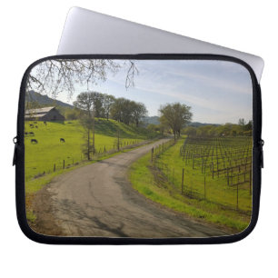 Funda Para Portátil Hermoso viñedo en Napa Valley California