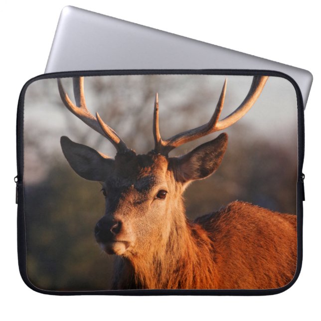 FUNDA PARA PORTÁTIL HI DEER (Frente)