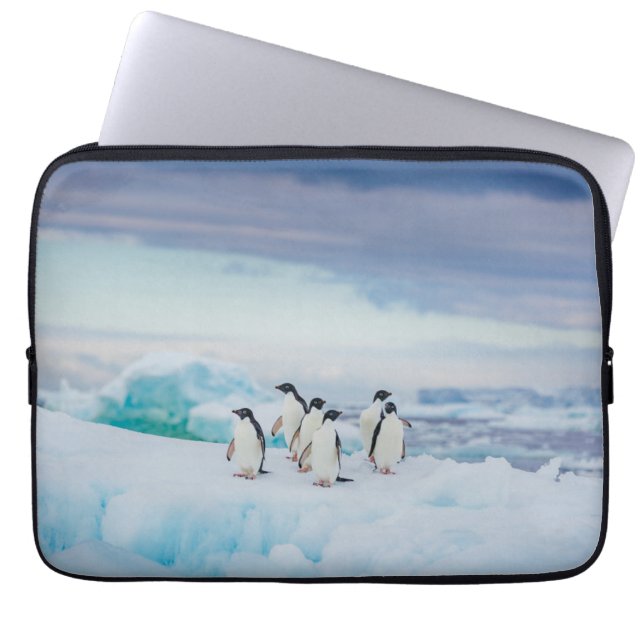 Funda Para Portátil Hielo y nieve | Adelie Penguins Antártida (Frente)