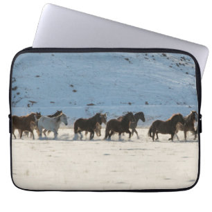 Funda Para Portátil Hípica en invierno en Hideout Ranch