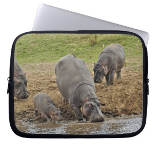 Funda Para Portátil Hipopótamo, Hippopotamus amphibius, Serengeti