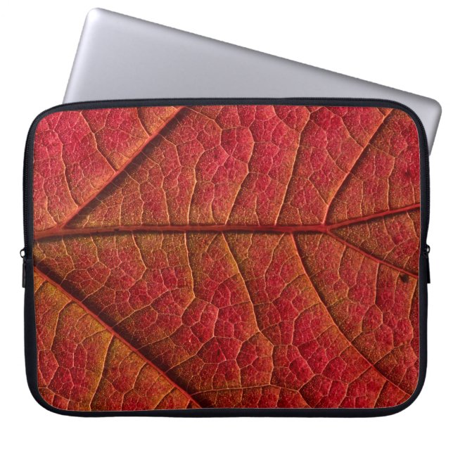Funda Para Portátil Hoja roja (Frente)