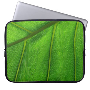 Funda Para Portátil Hoja verde