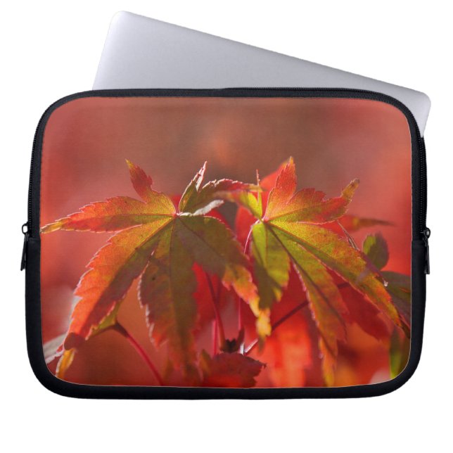Funda Para Portátil Hojas de arce japonesas (Frente)