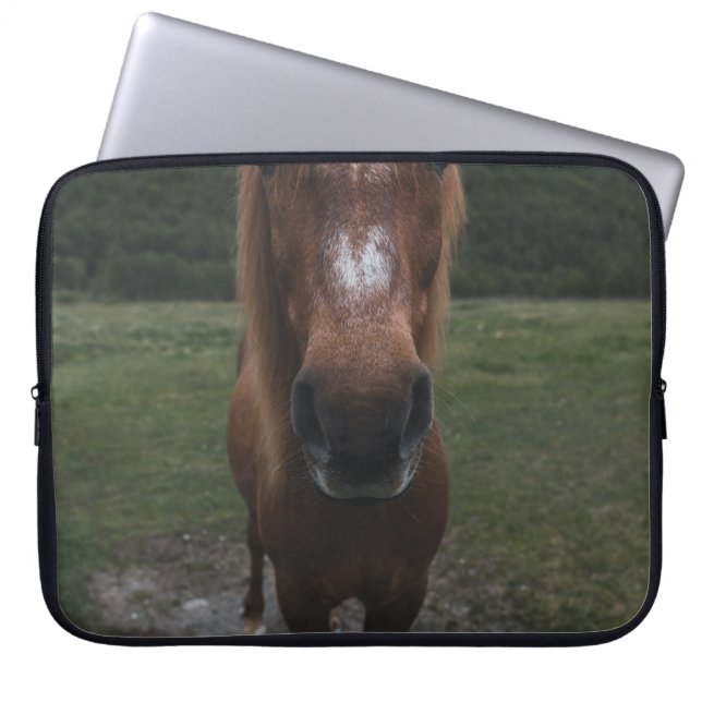 FUNDA PARA PORTÁTIL HOLA SOY UN CABALLO (Frente)