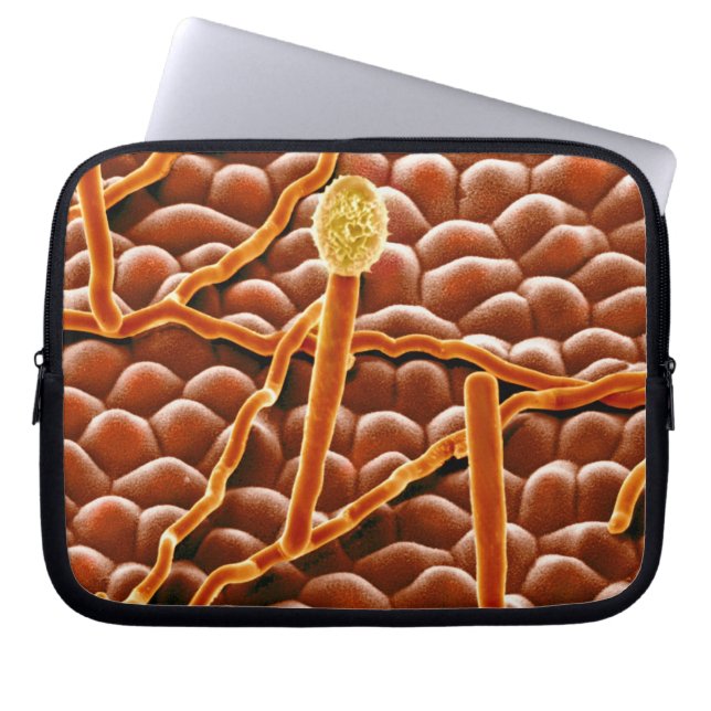 Funda Para Portátil Hongo del moho polvoriento en Poinsettia (Frente)