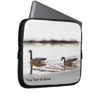 Honkers - Canadá Geese