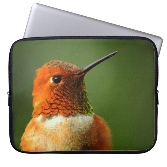 Funda Para Portátil Hummingbird (Frente)