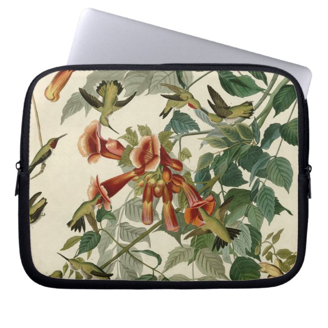 Funda Para Portátil Hummingbird Ruby Throated Audubon (Frente)
