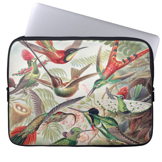 Funda Para Portátil Hummingbird, Trochilidae Kolibris por Ernst Haecke (Frente)