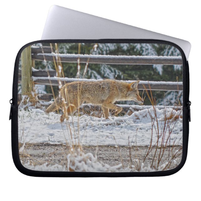Funda Para Portátil Hunting Coyote and Winter Snow Wildlife Art (Frente)