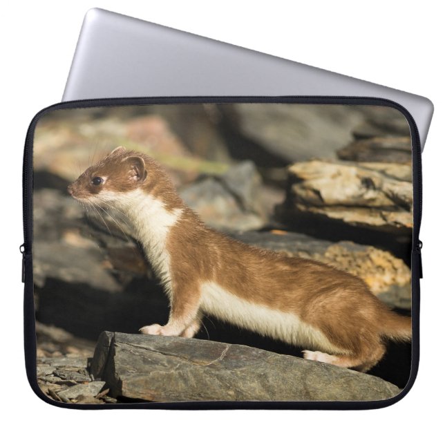 Funda Para Portátil Hunting Weasel (Frente)