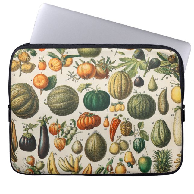 Funda Para Portátil Ilustracion científico botánico de frutas (Frente)