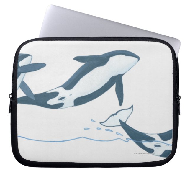 Funda Para Portátil Ilustracion de Ballenas Asesinas (Orcinus orca) (Frente)