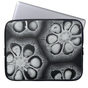 Funda Para Portátil Ilustracion vegetal verde y negro