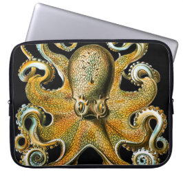 Funda Para Portátil Ilustración Vintage de Pulpo Dorado