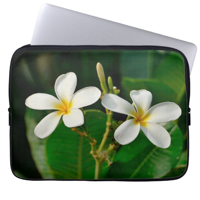 Funda Para Portátil Impresión de lienzo frangipano blanco (Frente)
