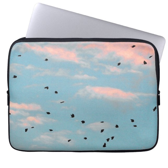 Funda Para Portátil Impresión en el cielo de Dalmacia (Frente)