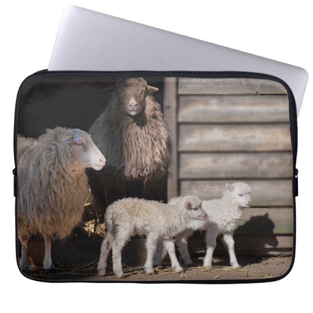 Funda Para Portátil Impresionante oveja con foto animal de lambs (Frente)