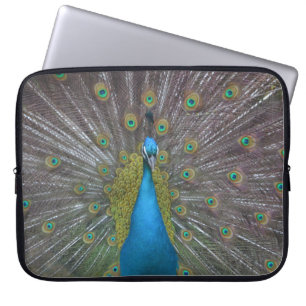 Funda Para Portátil Impresionante pavo real