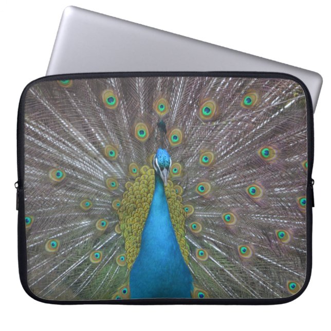 Funda Para Portátil Impresionante pavo real (Frente)