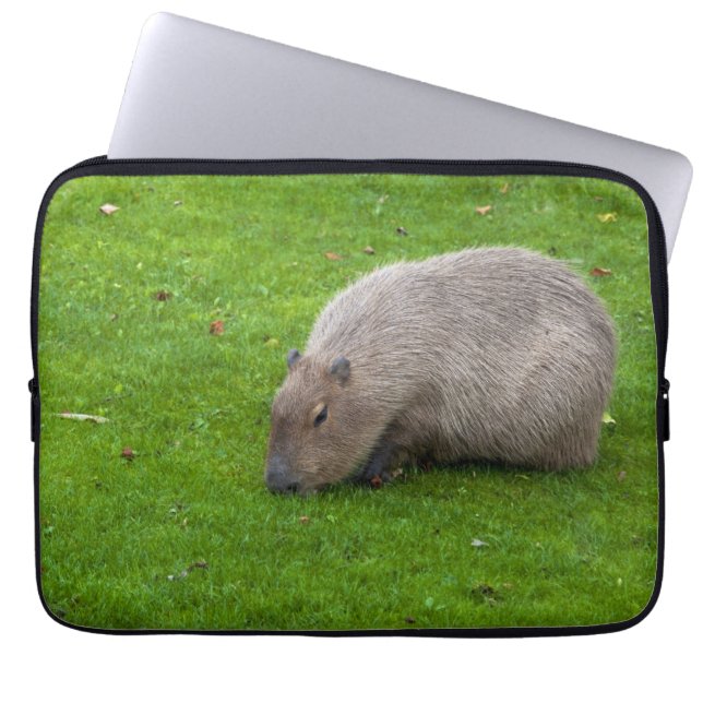 Funda Para Portátil Increíble Animal Carpincho (Frente)