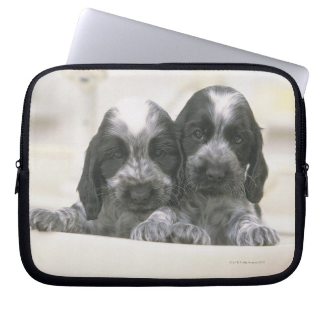 Funda Para Portátil Inglés cocker spaniel (Frente)
