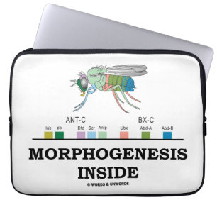 Funda Para Portátil Interior de la morfogénesis (genes de la caja