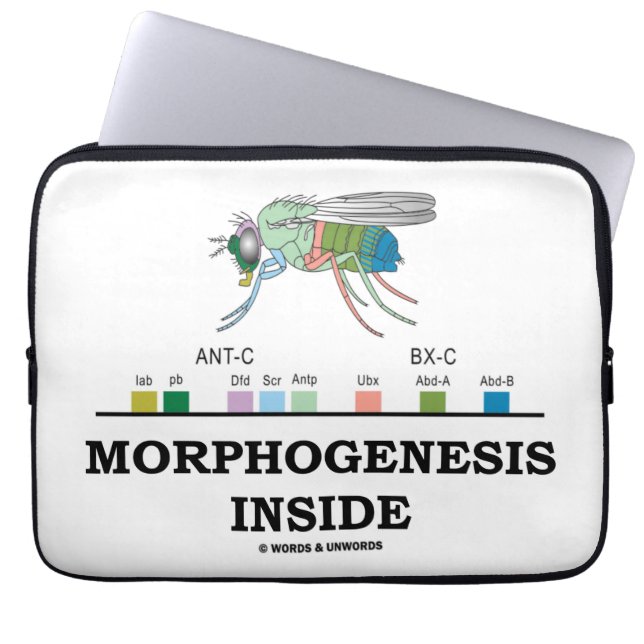 Funda Para Portátil Interior de la morfogénesis (genes de la caja (Frente)