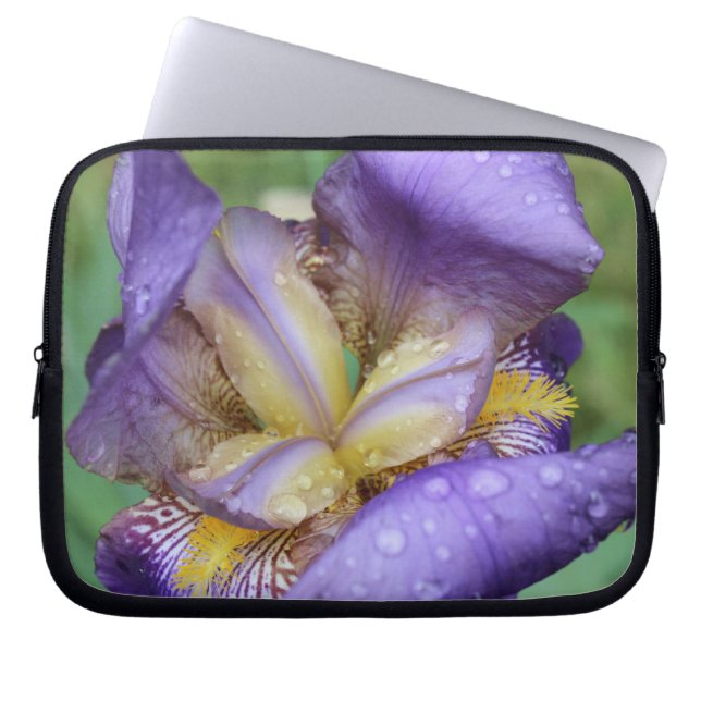 Funda Para Portátil Iris morado (Iris Germanica) (Frente)