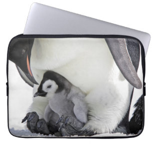Funda Para Portátil Isla de la colina de la nieve del pingüino de