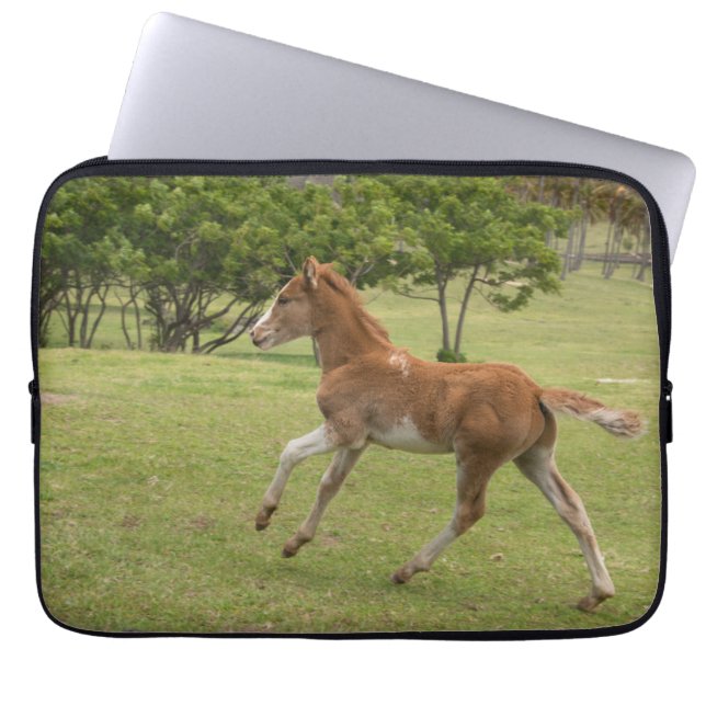 Funda Para Portátil Isla de Pascua o Rapa Nui (Frente)