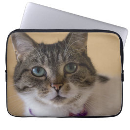 Funda Para Portátil Ivey