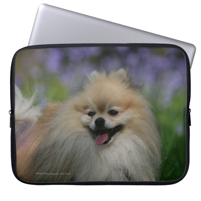 Funda Para Portátil Jadeo de Pomeranian (Frente)