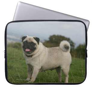 Funda Para Portátil Jadeo del barro amasado