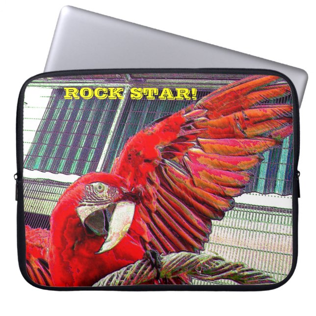 Funda Para Portátil ¡Jake el Rock Star! (Frente)