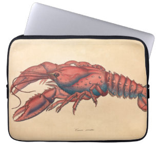 Funda Para Portátil James Sowerby Serrate Lobster