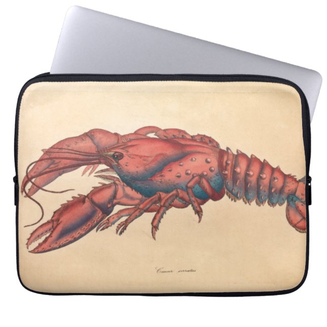 Funda Para Portátil James Sowerby Serrate Lobster (Frente)