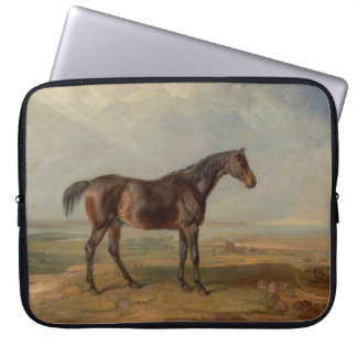 Funda Para Portátil James Ward - Dr. Syntax, un caballo de carreras ba