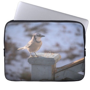Funda Para Portátil Jay azul