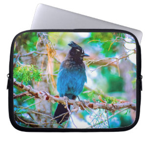Funda Para Portátil Jay de Steller - Fotografía original