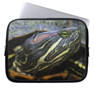 Funda Para Portátil Jicotea de oreja roja, Trachemys scripta elegans,