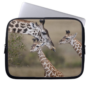 Funda Para Portátil Jirafa Masái (Giraffa tippelskirchi)