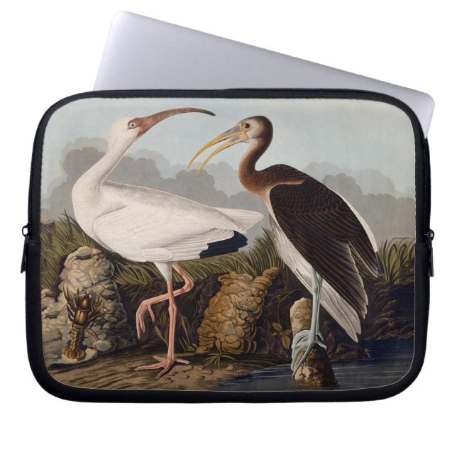 Funda Para Portátil John James Audubon White Ibis Bird Print Classic (Frente)