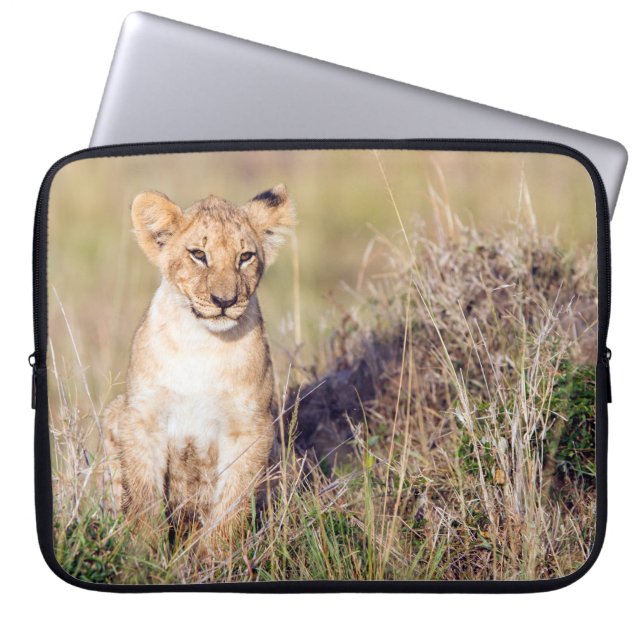 Funda Para Portátil Joven león (Frente)