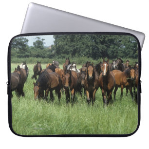 Funda Para Portátil Jóvenes excelentes