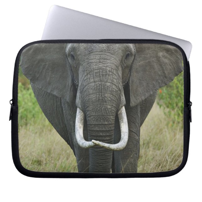 Funda Para Portátil Juego de Elephantna loxodonta Masai Mara (Frente)