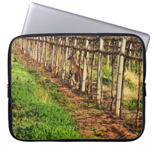 Funda Para Portátil Kangaroo Y Joey En Vinos De Uva,